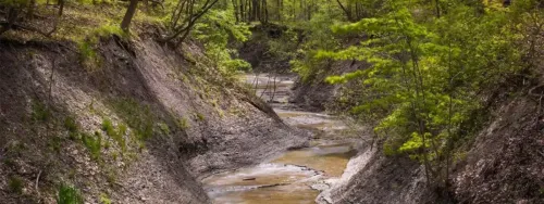 Euclid Creek Reservation