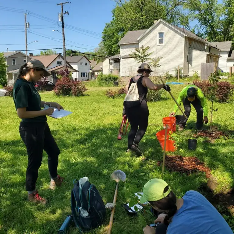 Tree Planting at Humphrey Park