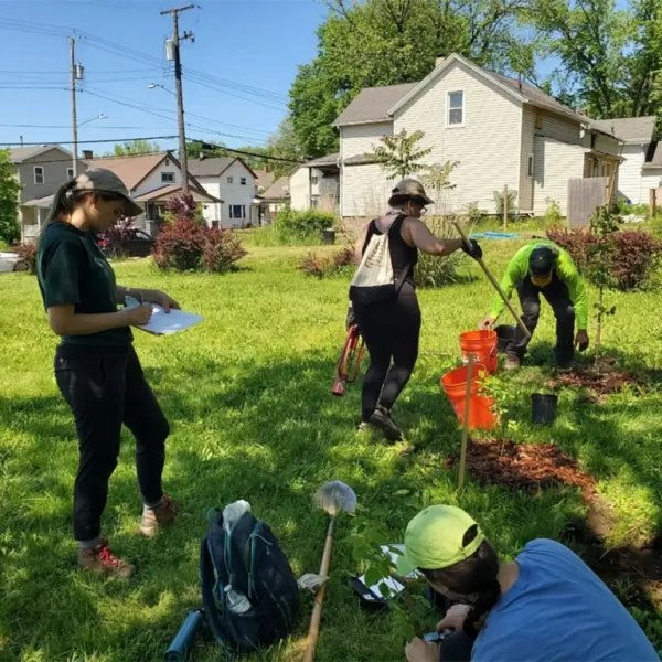Tree Planting at Humphrey Park