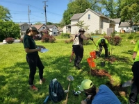 Tree Planting at Humphrey Park