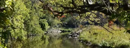 Friends of Euclid Creek