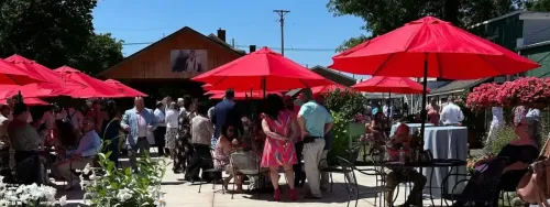 Cavotta Garden Center & Garden bar